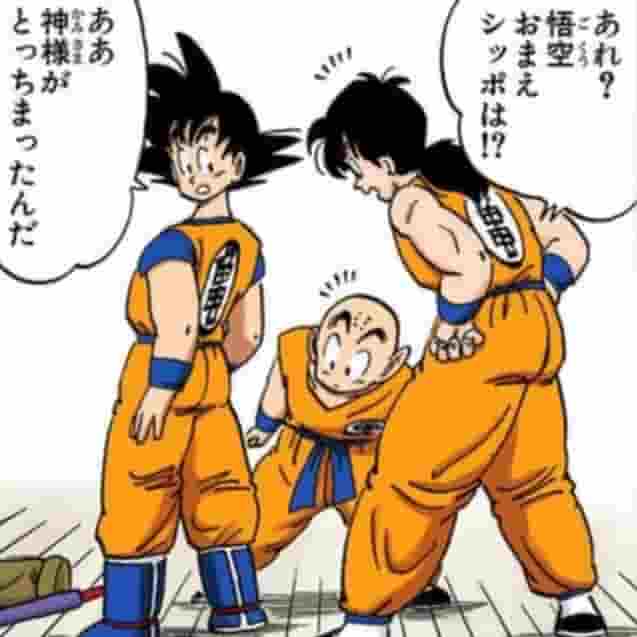 孫悟空&クリリン&ヤムチャ 亀仙流集合