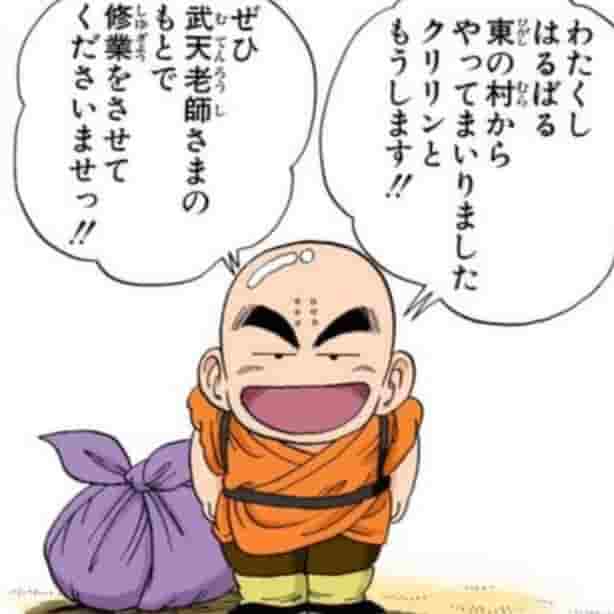 クリリン 亀仙人のもとを訪れる