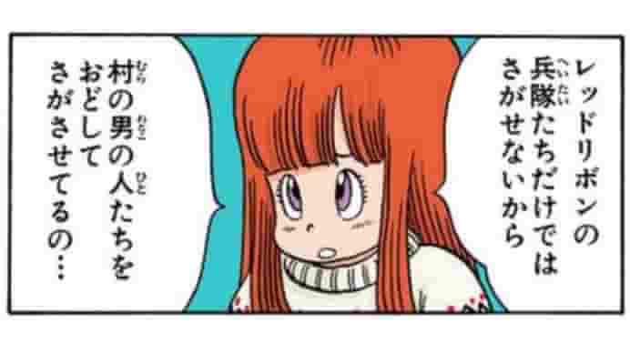 スノ　説明