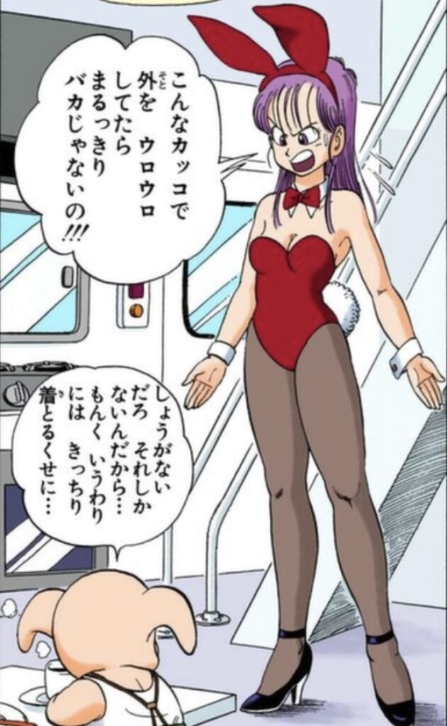 ブルマ バニーガール