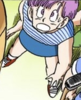 ブルマ ノースリーブ ミニスカート