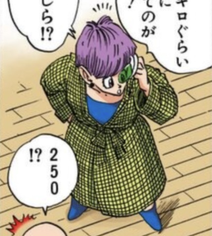 ブルマ ガウンコート
