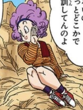 ブルマ ワンピース+ベスト