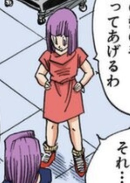 ブルマ ピンク ワンピース