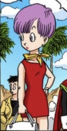 ブルマ 赤 ワンピース