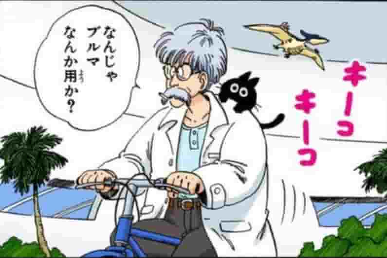 ブリーフ