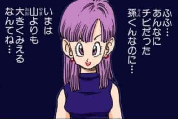 ブルマ ピッコロ大魔王編